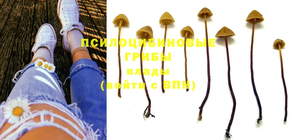 марки nbome Арсеньев