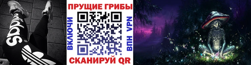 Псилоцибиновые грибы ЛСД darknet состав Байкальск